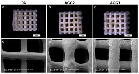  Gellan Gum:  Biomaterial for 3D Printing and Tissue Engineering Applications!