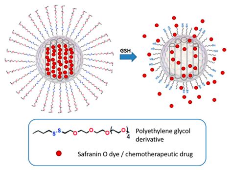  Silica Gel:  Revitalizing Biocompatibility and Enabling Controlled Release for Next-Gen Drug Delivery!